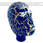 سردنده اسکلتی