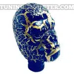 سردنده اسکلتی