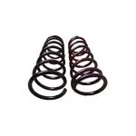 فنر لنزو پژو