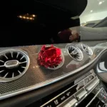 خوشبو کننده خودرو فرگرنس مدل بول داگ