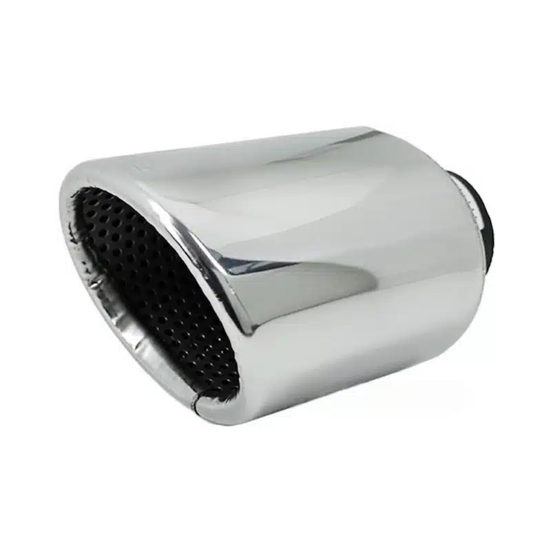 سراگزوز ریموس تکلول بیضی-۱ سراگزوز ریموس تکلول بیضی