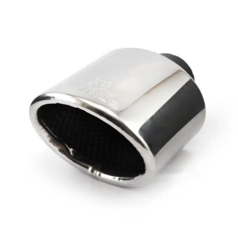 سراگزوز ریموس تکلول بیضی-۲ سراگزوز ریموس تکلول بیضی