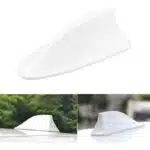 شارک سقف سفید بال چه کوسه ای