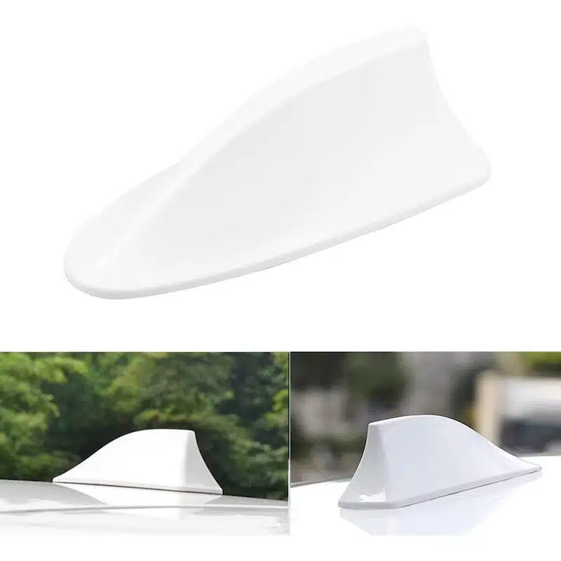 شارک سقف سفید بال چه کوسه ای-۱ شارک سقف سفید بال چه کوسه ای