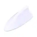 شارک سقف سفید بال چه کوسه ای