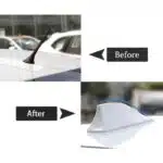 شارک سقف سفید بال چه کوسه ای