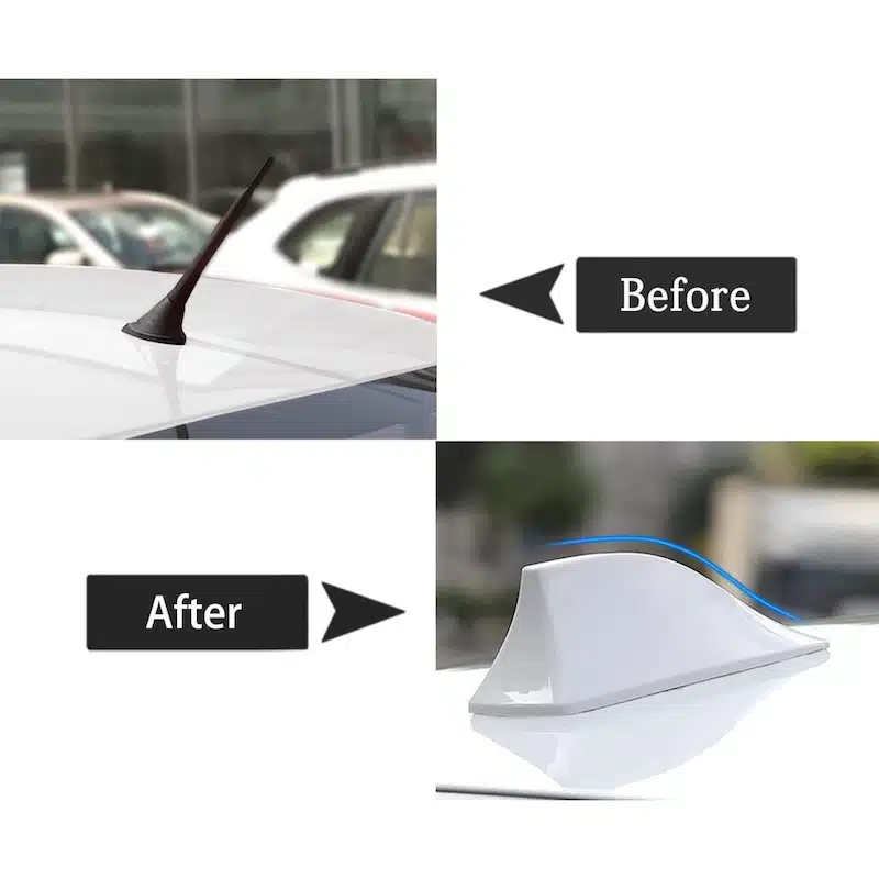 شارک سقف سفید بال چه کوسه ای-۳ شارک سقف سفید بال چه کوسه ای