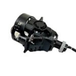 لنز جغدی ۳چشم LION KING لایون کینگ زیمر