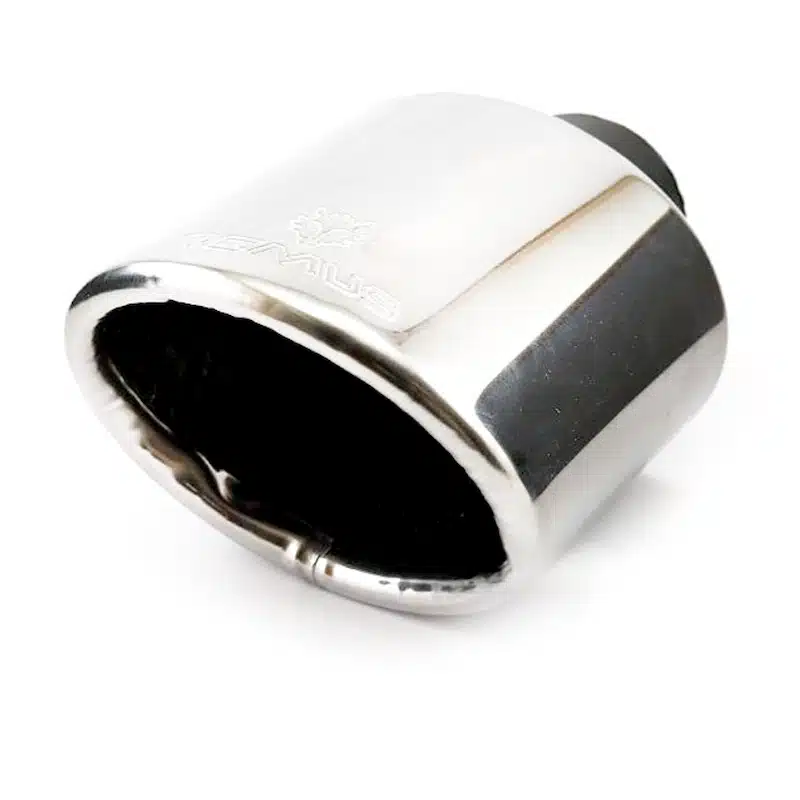 سراگزوز ریموس تکلول بیضی سر فارسی-1 سراگزوز ریموس تکلول بیضی سر فارسی