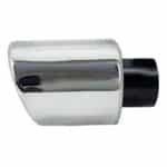 سراگزوز ریموس تکلول بیضی سر فارسی