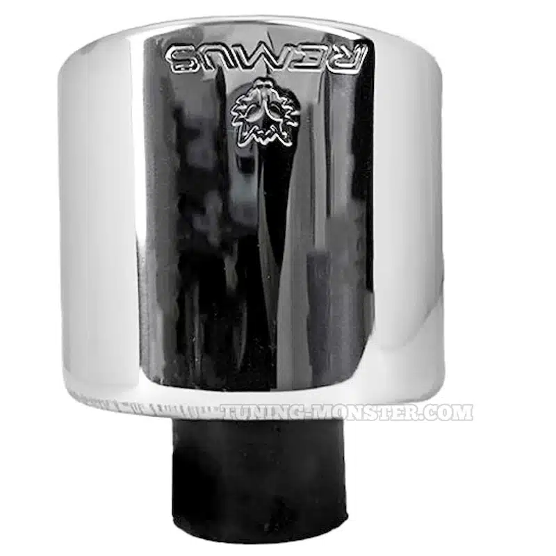 سراگزوز ریموس تکلول بیضی سر فارسی-3 سراگزوز ریموس تکلول بیضی سر فارسی